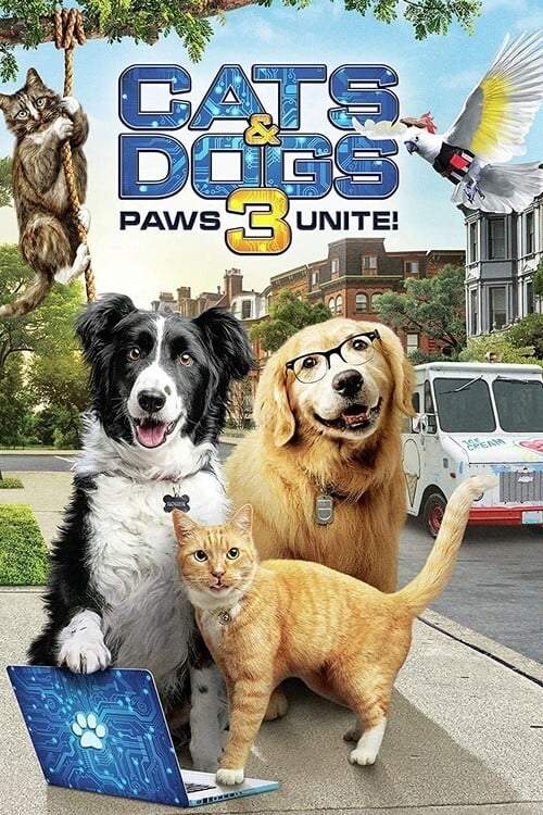 Cat-Dogs-3