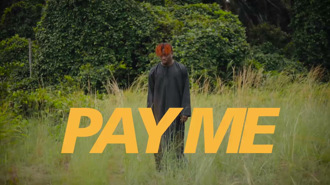 Oxlade-Pay-Me-Visualizer