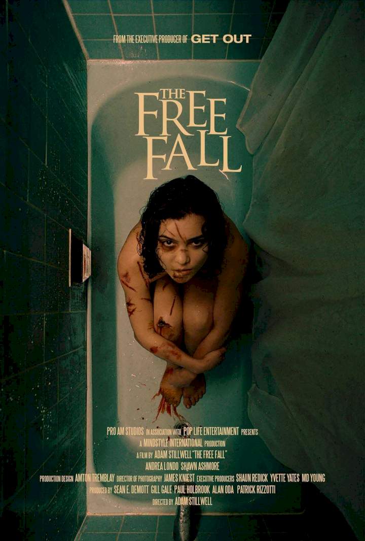 The-Free-Fall