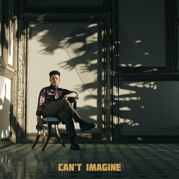 Nasty-C-Cant-Imagine