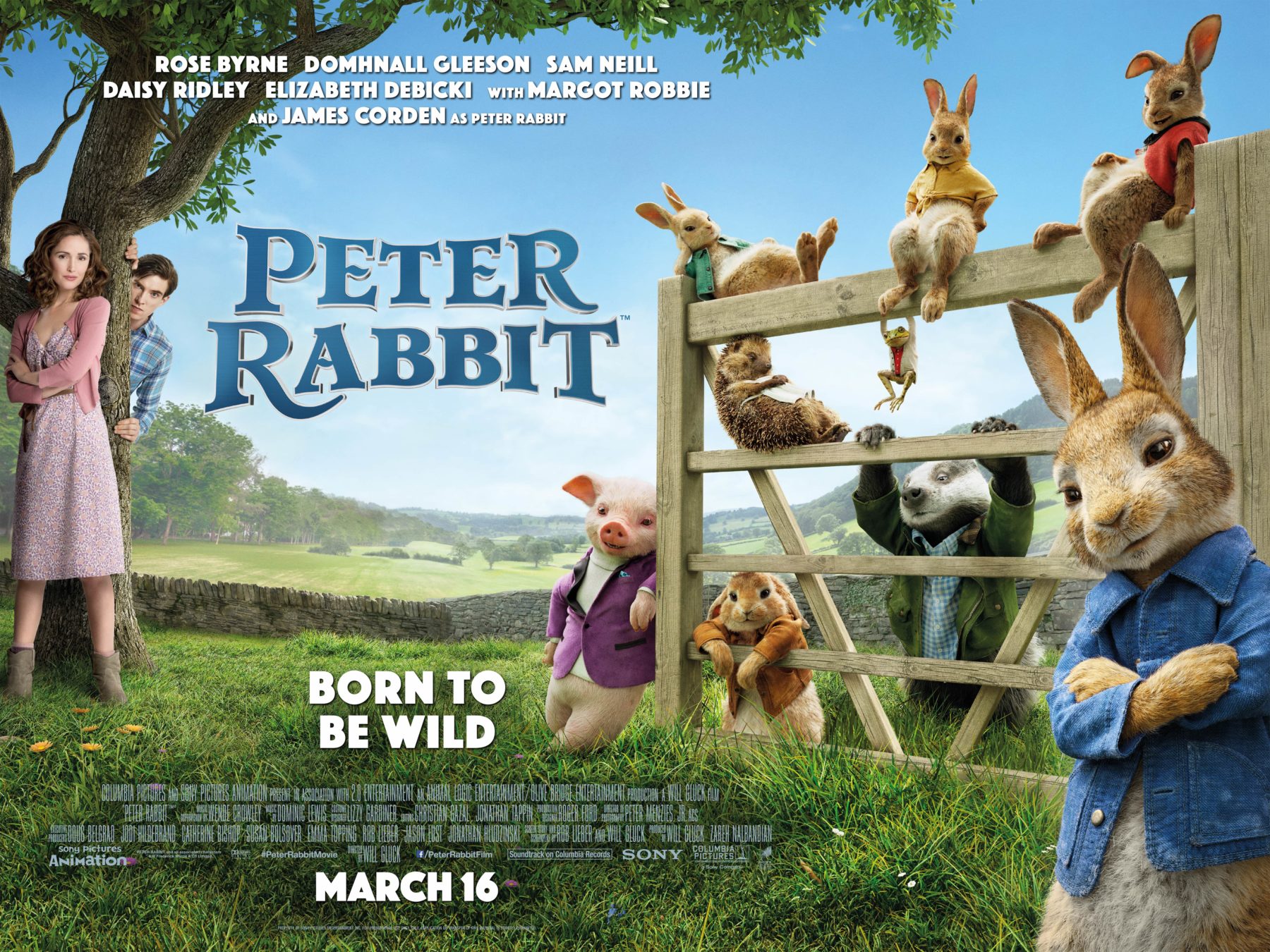 Peter-Rabbit