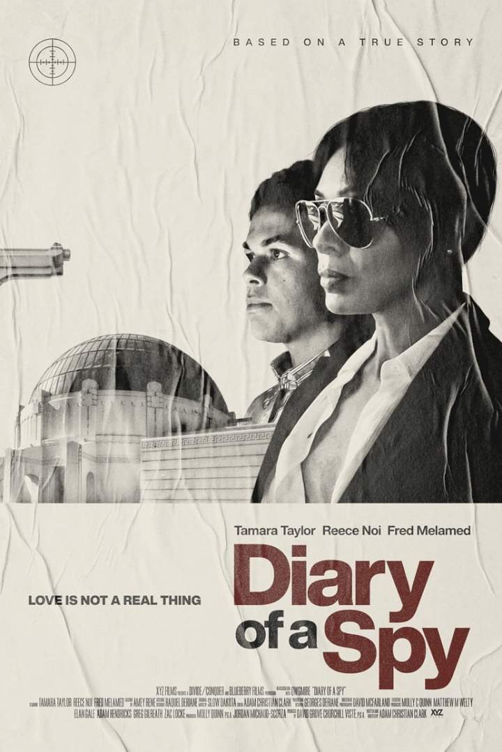 Diary Of A Spy