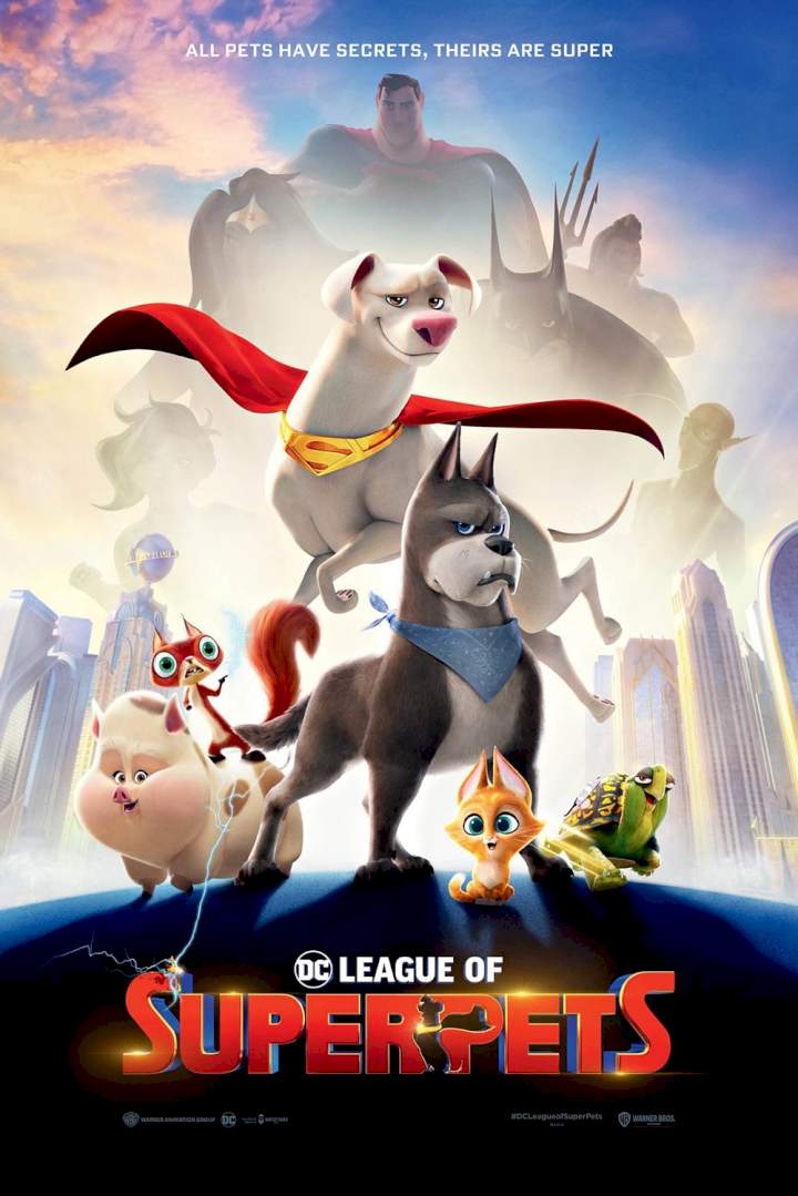 DC League Of Super Pets