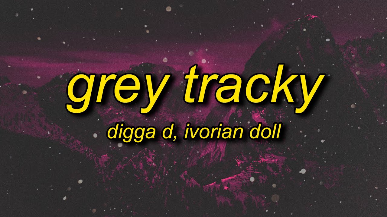 digga-d-grey-tracky