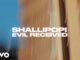 shallipopievilreceivevideo