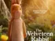 thevelveteenrabbit