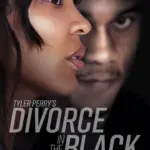 tylerperrydivorce