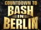 bashinberlin